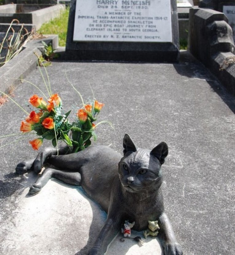 4. Памятник Миссис Чиппи (Mrs. Chippy Monument).