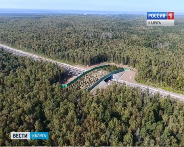 Второй в России экодук открыли в Калужской области