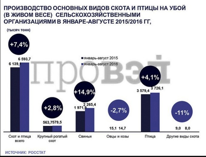 За первые 8 месяцев 2016 года рост производства превзошел даже самые смелые ожидания: