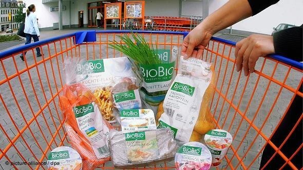 Жизнь в Дании глазами россиянки