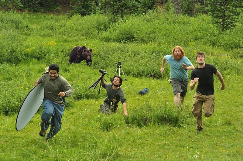 Медведь и фотографы