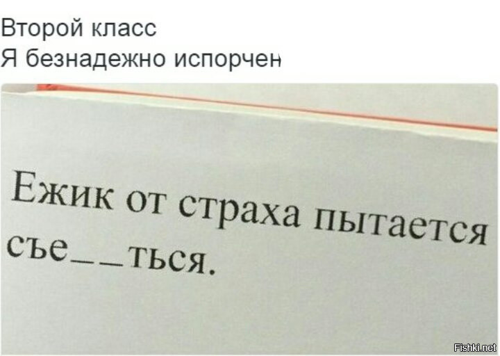 Из солянки