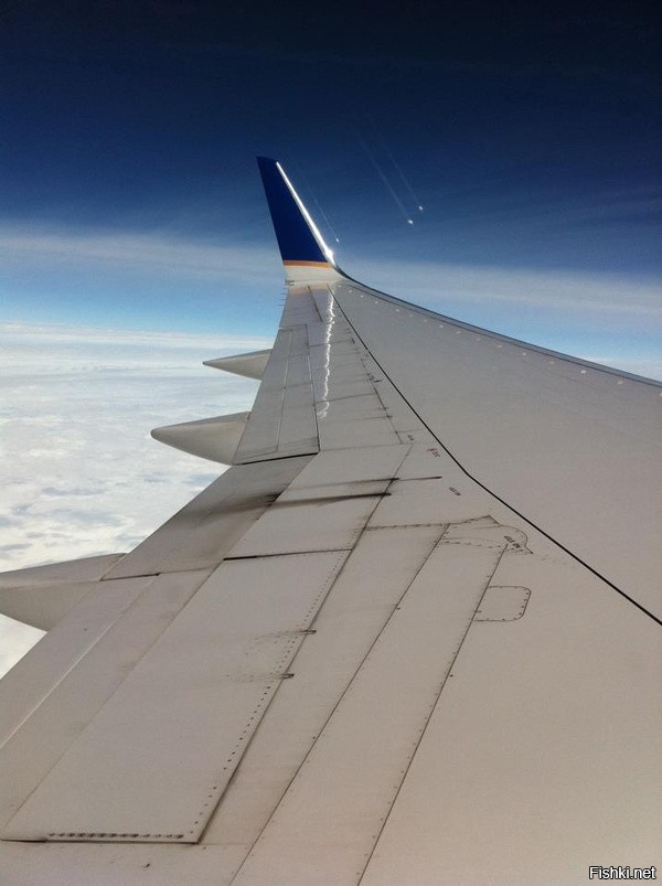 Фотография падающих метеоров, сделанная через иллюминатор самолёта