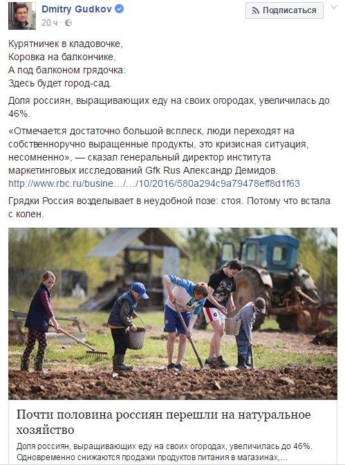Информационный вброс от немецкого Gfk: россияне перешли на еду с огородов