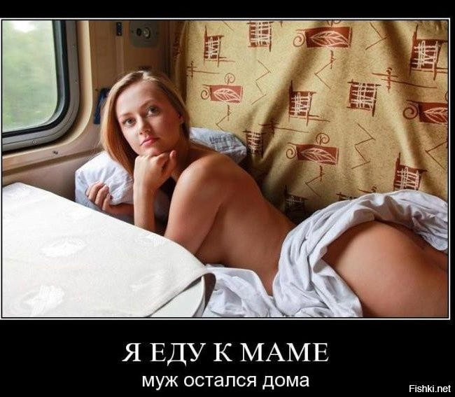 Из солянки