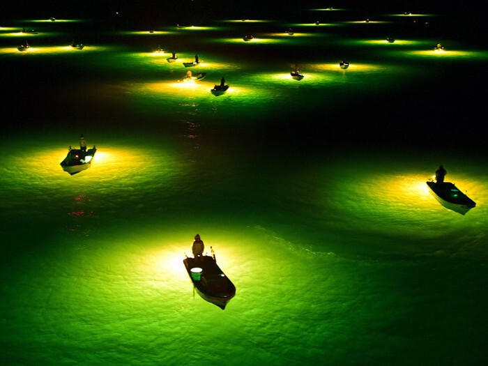 Ночная рыбалка в Японии (Асахи)