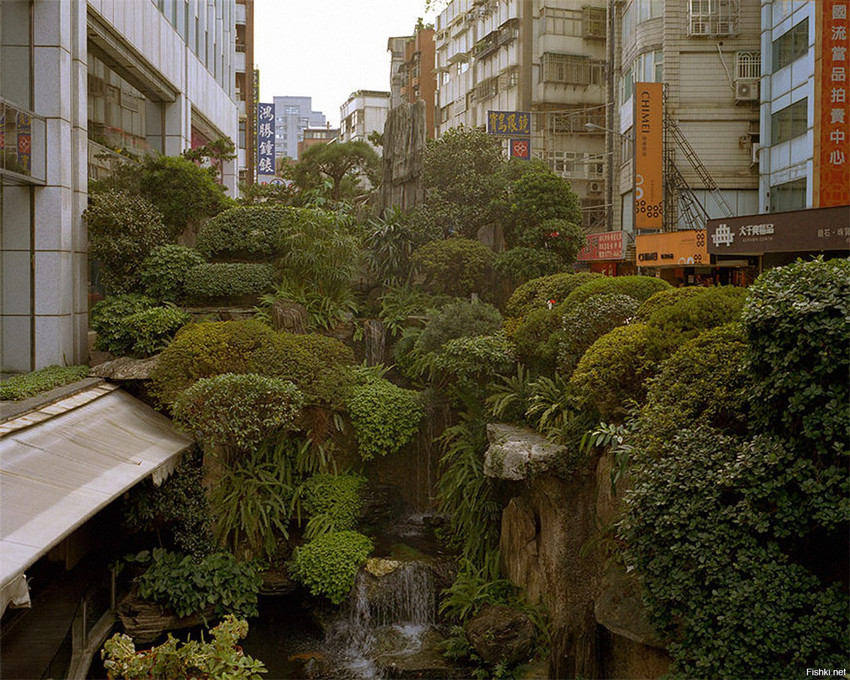 Городские джунгли в Тайбэй