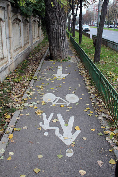 Дорожка для велосипедистов и пешеходов 
