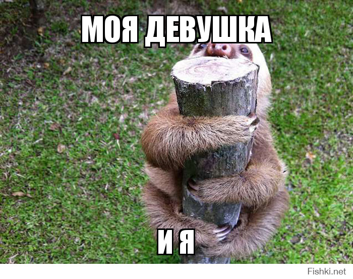 моя девушка