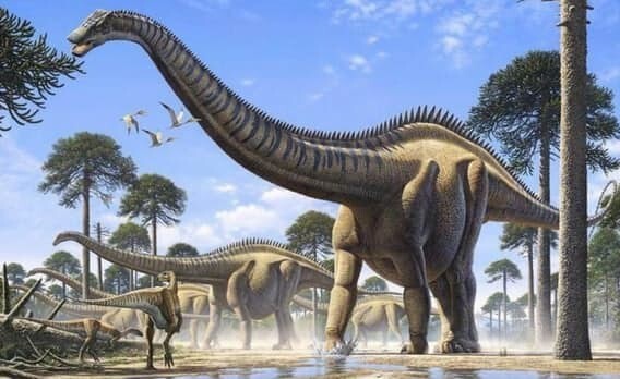 Какой динозавр был самым большим?