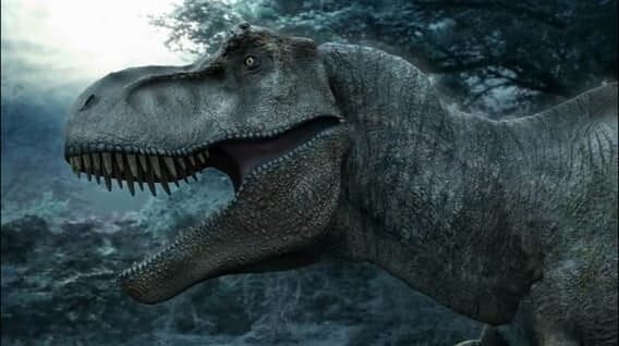 Какие динозавры были ночными животными?