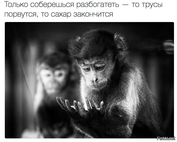 Из солянки