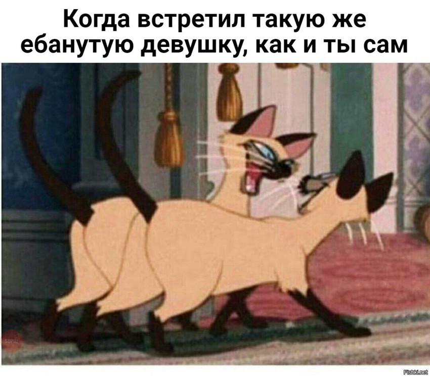 Из солянки