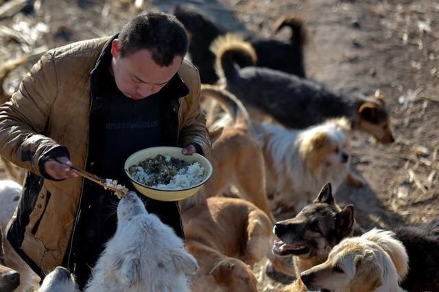 Китайский бизнесмен купил 2,000 собак, чтобы спасти их и найти им новый дом