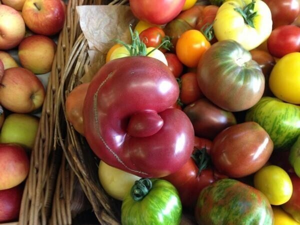 Наглый томат