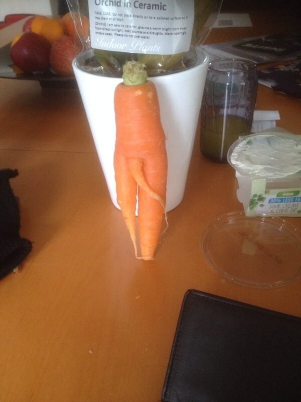 Жеманная морковь