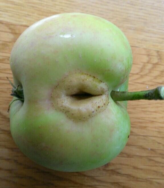 Нахальное яблоко