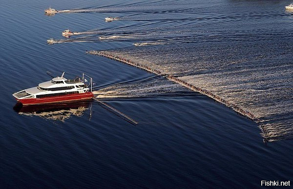 145 человек на водных лыжах