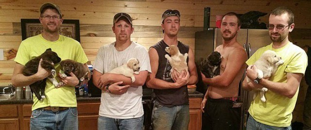 Мужчины, отмечающие в лесу мальчишник, нашли бездомных щенков и разобрали их по домам