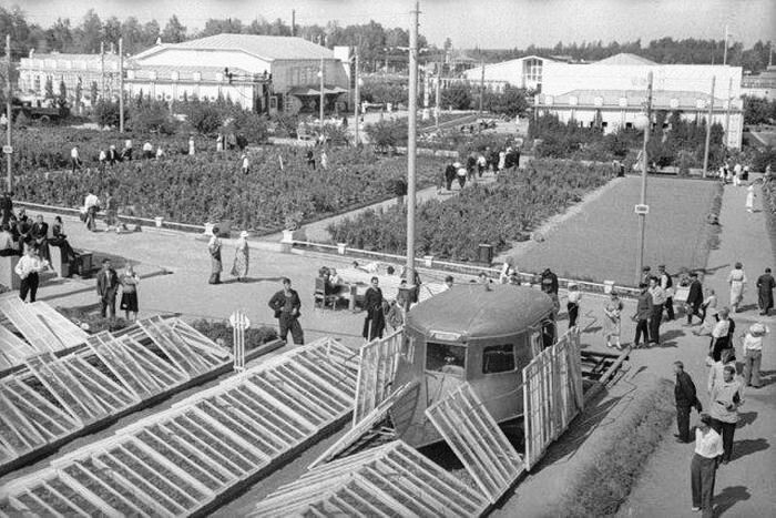 Парниковый комбайн, 1939 год, СССР