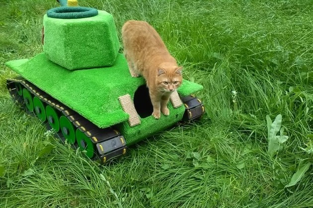 Новосибирец сделал 50-килограммовый танк для кота
