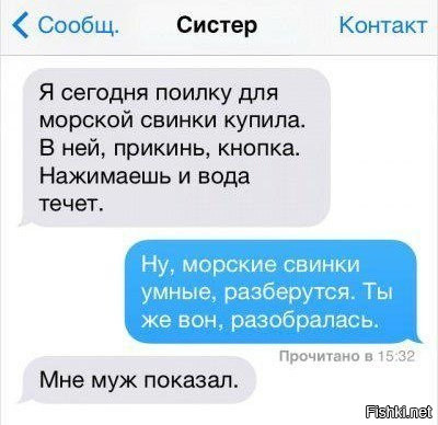 Из солянки