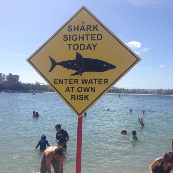 Предупреждающие знаки об акулах 
