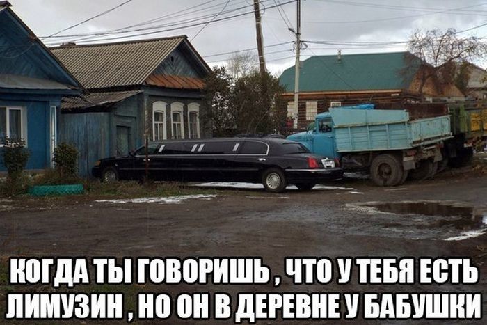 Приколы