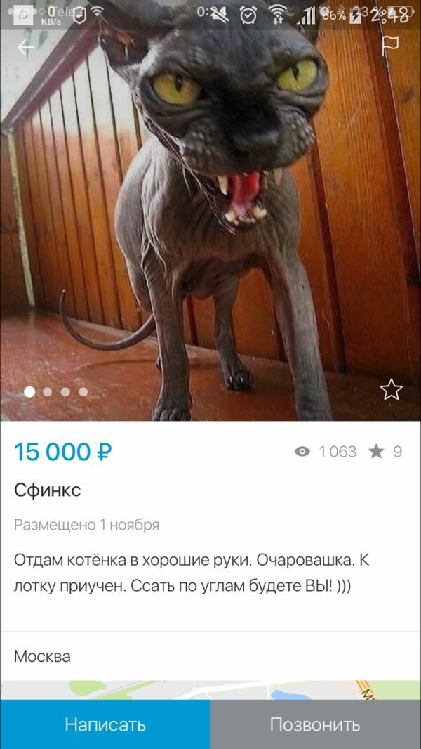 Хохотальня 2