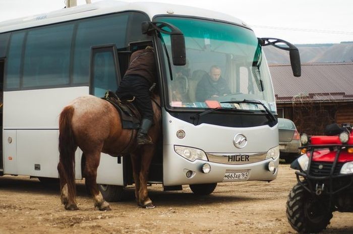 Свежая подборка автоприколов