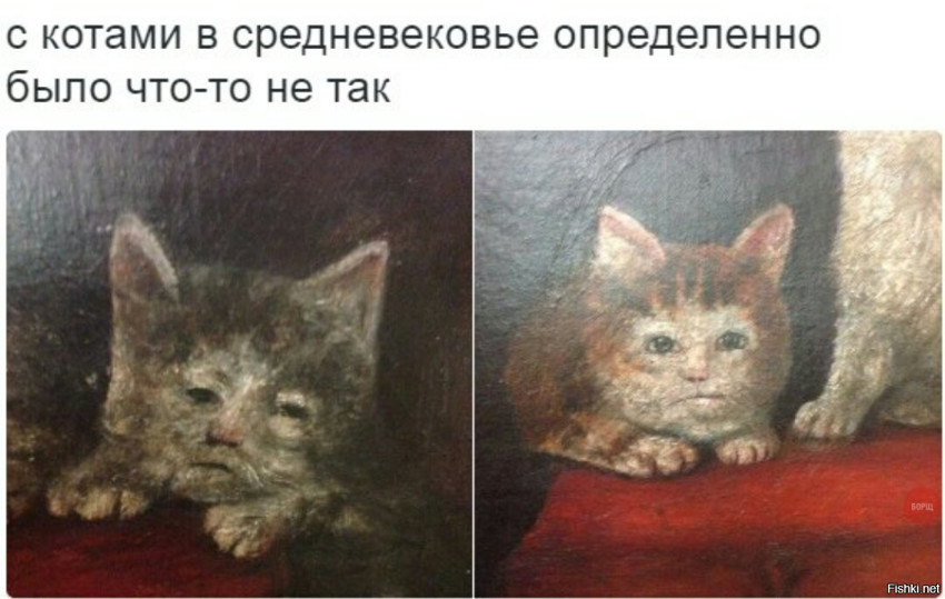 Из солянки