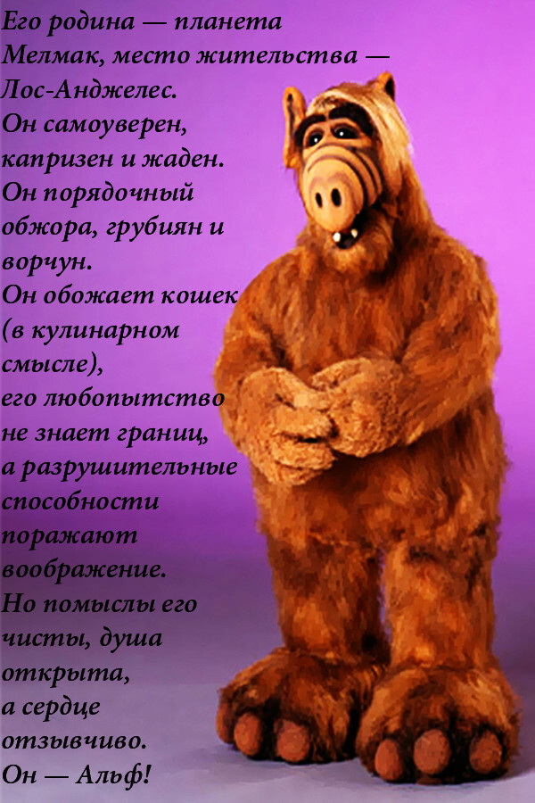 ALF