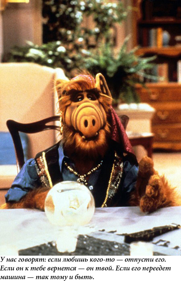 ALF