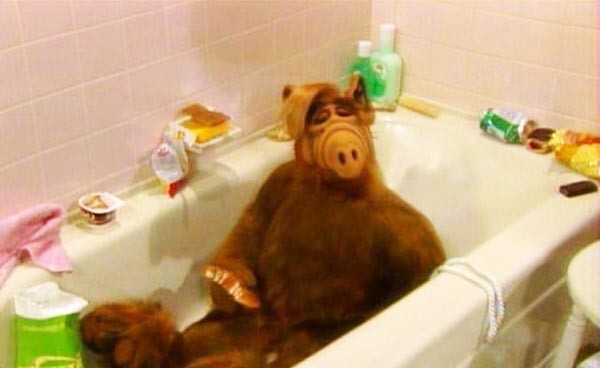 ALF