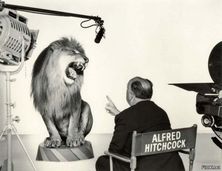 Альфред Хичкок, руководящий львом во время съемки легендарной заставки студии...