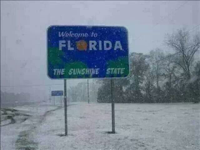 Флорида — солнечный штат