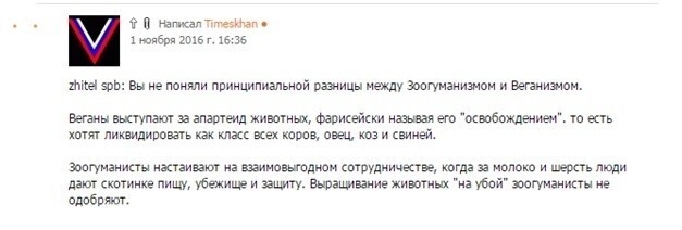 Ньюсмейкер Новой Газеты ловит фашистов, воюет с котами и высиживает каменное яйцо