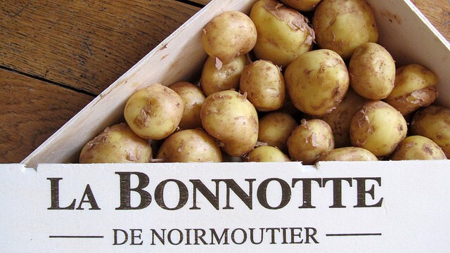 картофель "La Bonnotte"