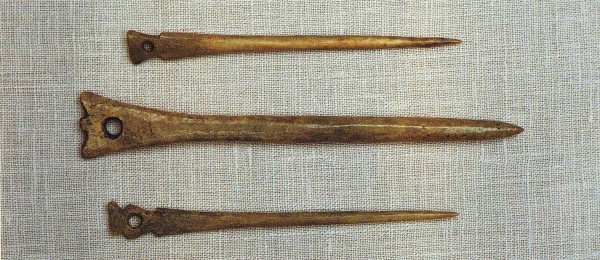 На Алтае обнаружены иголки возрастом 50000 лет