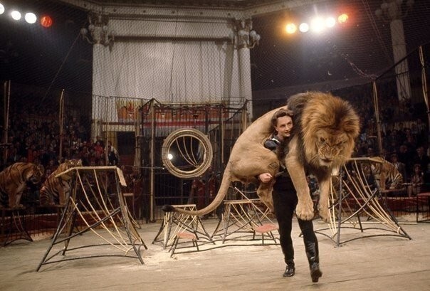 Дрессировщик несет 136-килограммового льва на арене цирка в Москве, март 1966.