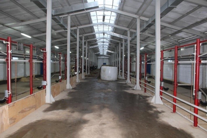 8. В Республике Коми открыты 2 молочные фермы 