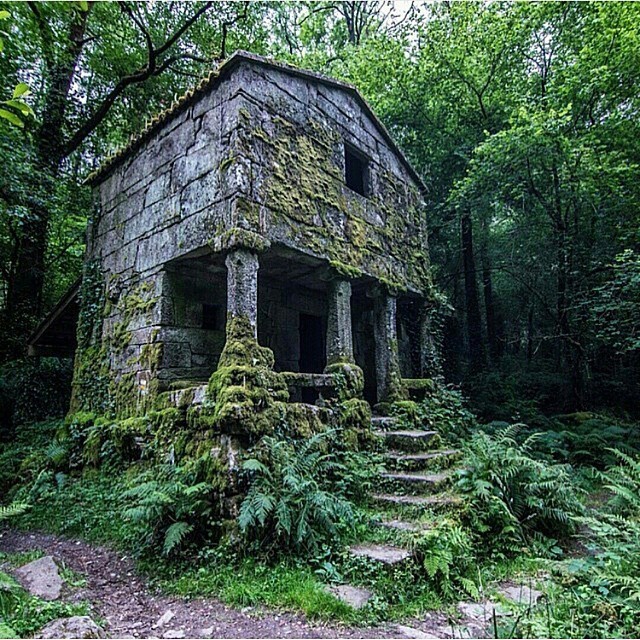 Заброшенный дом в лесах Галисии, Испания