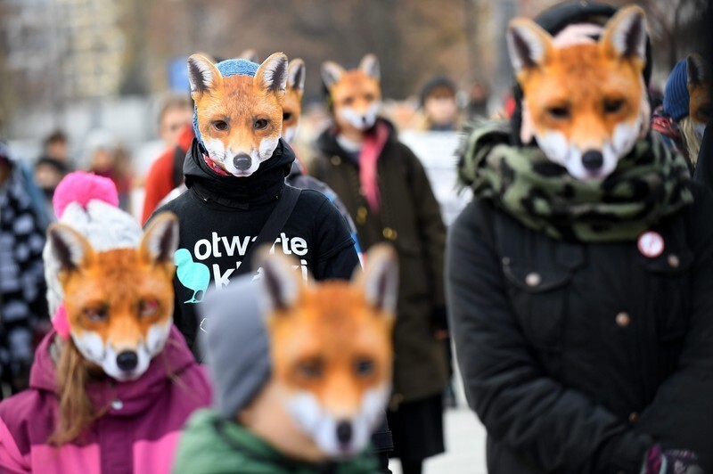 Возле польского сейма активисты провели «День без меха», протестуя против разведения лис для получения меха"