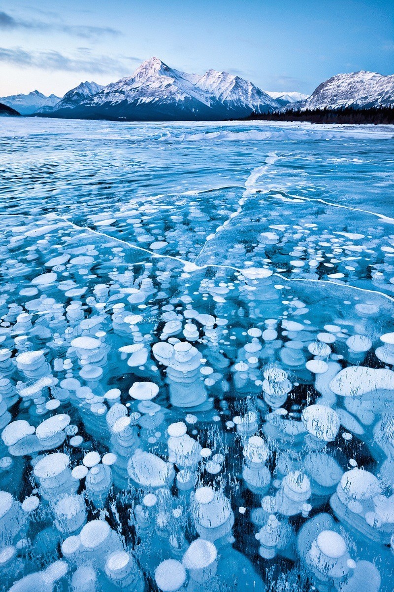 15. Ледяные пузыри озера Эйбрахам (Канада). Пузырьки метана, поднимающиеся со дна, замерзают на разной глубине - отсюда такой эффект