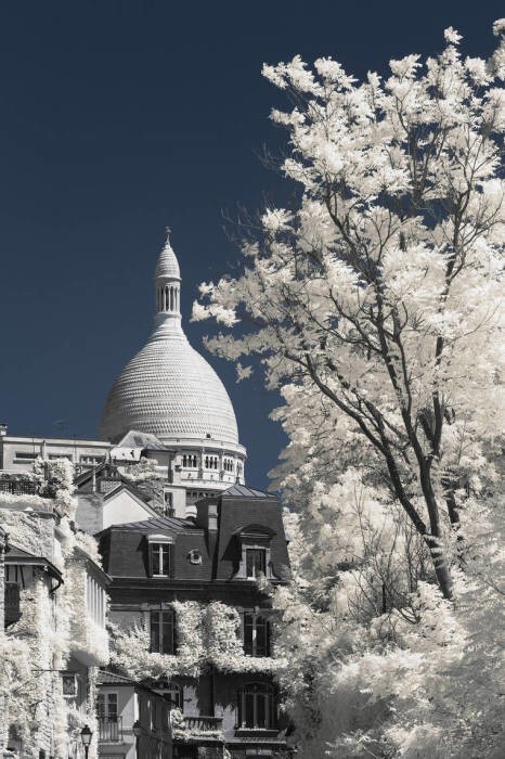 Фотографии Парижа, созданные в инфракрасном цвете 