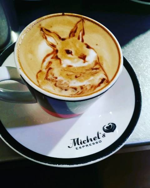 Кролик в чашке 
