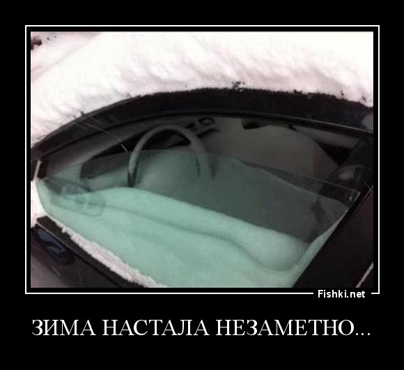 Зима настала незаметно...