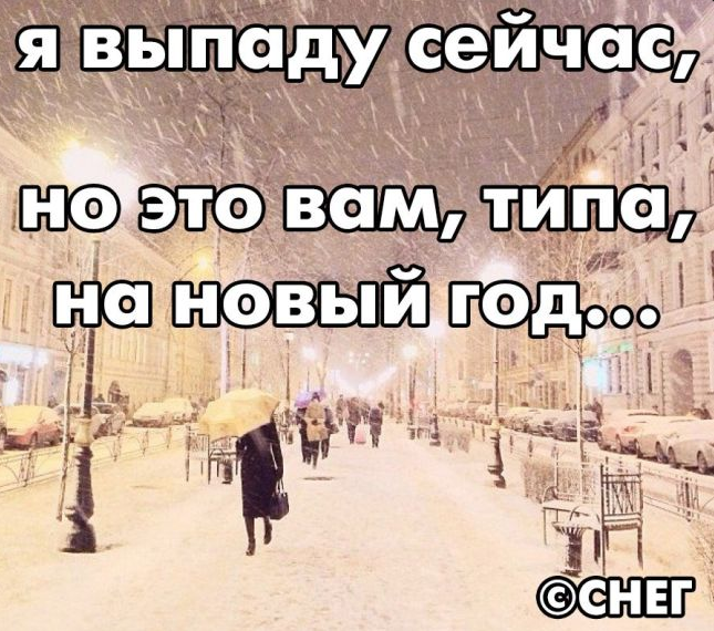 Снегом нас не победить