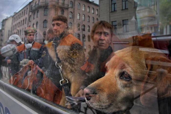  Уличные снимки фотографа Александра Петросяна