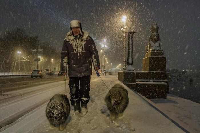  Уличные снимки фотографа Александра Петросяна